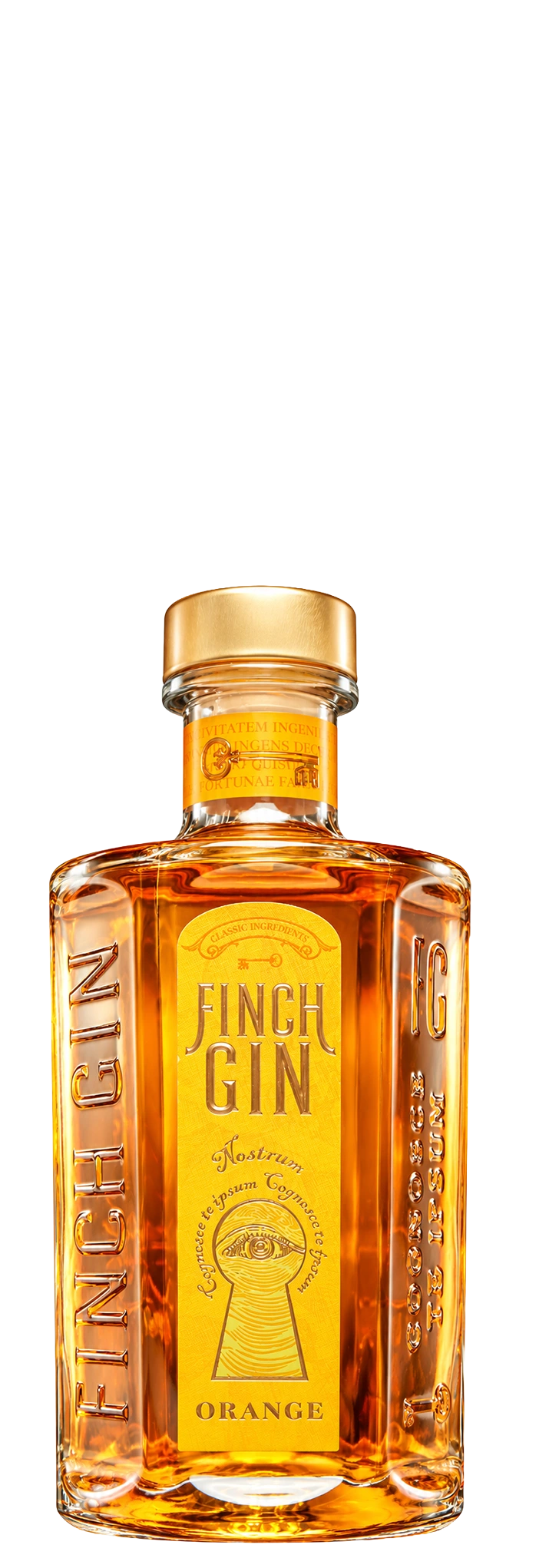 Джины